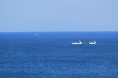 2013.11.23 太平洋・噴火湾(八雲周辺）