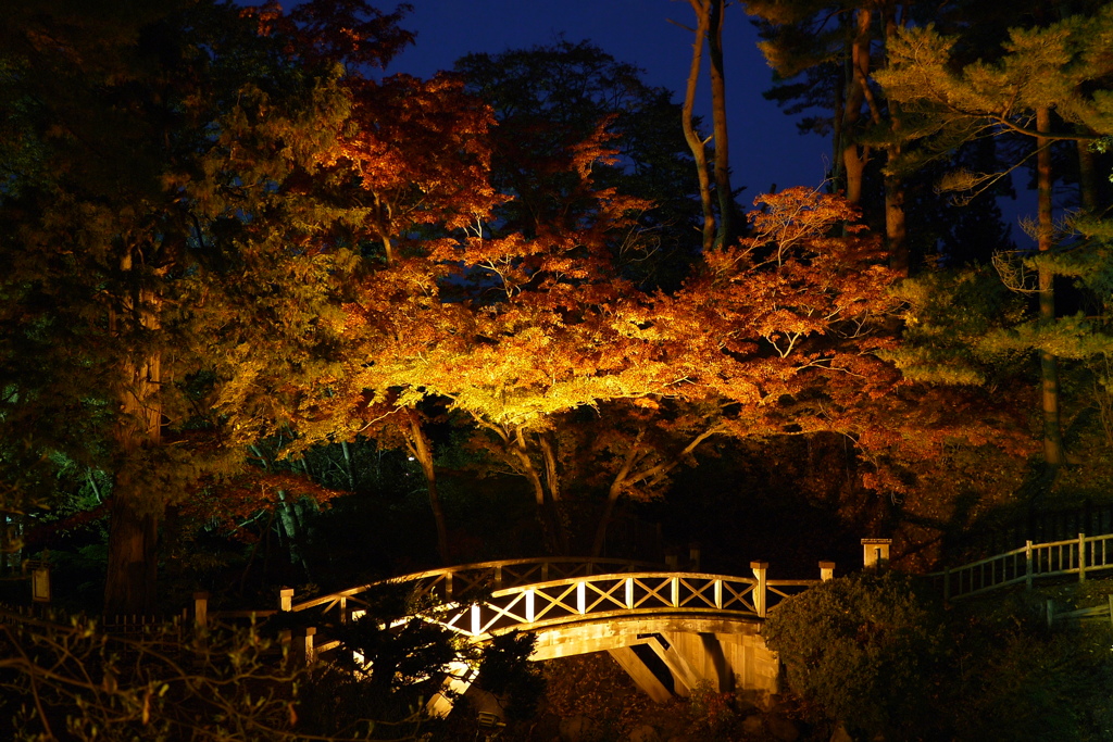 2013.11.4 道南の紅葉(28)