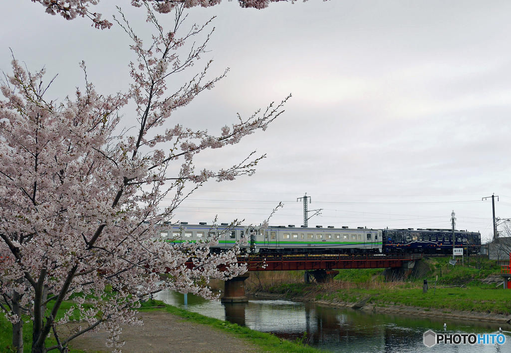 2016.05.01 桜を求めて（４）♪