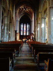 2013 faiblement♪Dijon(19)