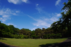 両手を広げて