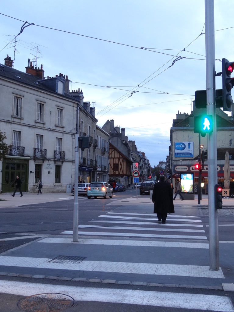 2013 faiblement♪Dijon(39)