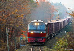 2015.11.03 鉄道日和(2)