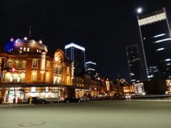 Tokyo Travel 1st day 15