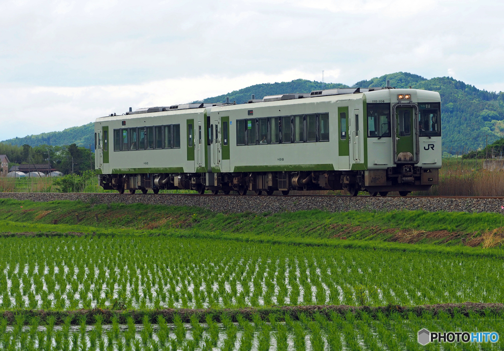 2017.06.03 今こそ仙台へ(16)：植え付けが終わった田園を往く