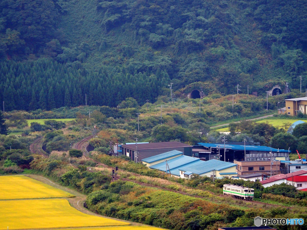 2015.09.08 長閑な瞬間（とき）