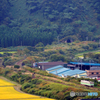 2015.09.08 長閑な瞬間（とき）