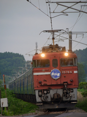 2015.06.14 今朝の8007ﾚ：古参のカマ頑張る