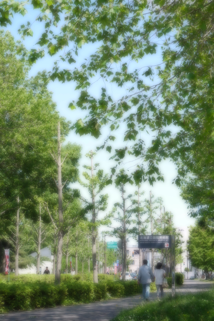 昼光の下、いづこへ