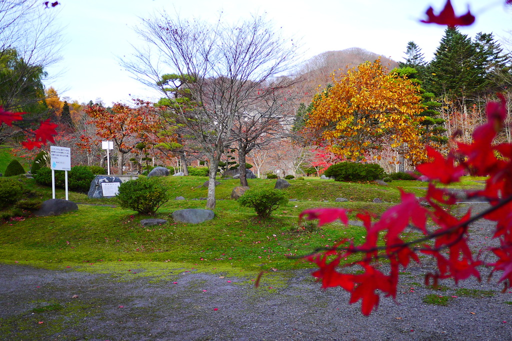 2013.11.9 道南の紅葉(12)