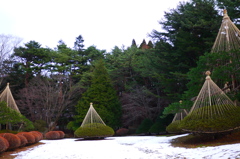 2013.12.23 道南冬景(1)