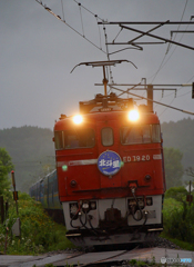 2015.08.18 今朝の8007ﾚ：雨中を駆け抜けて(1)
