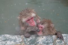 2014.02.09 湯の川温泉いい湯だな(4)