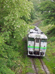 2015.06.09 緑・濡れる
