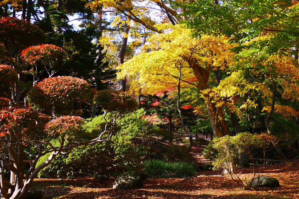 2013.11.4 道南の紅葉(15)