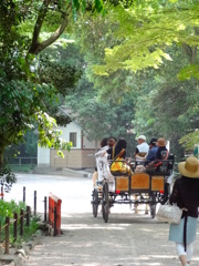 2014.05.31 そうだ 京都、行こう(26)
