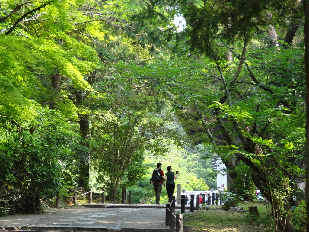 2014.05.31 そうだ 京都、行こう(29)