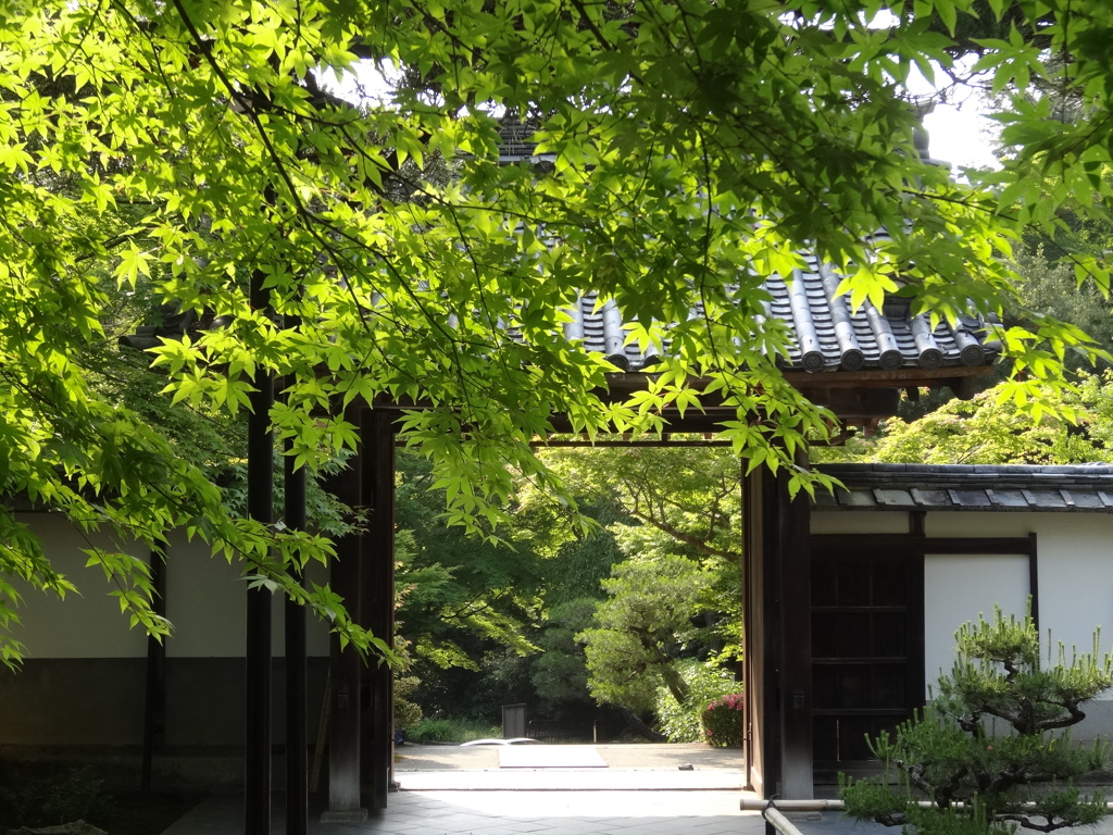 2014.05.31 そうだ 京都、行こう(38)