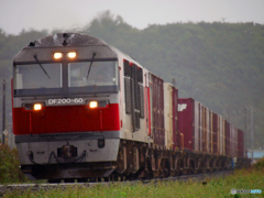 2015.09.19 津軽海峡線→山線→室蘭本線、５７０㌔の鉄旅（９）