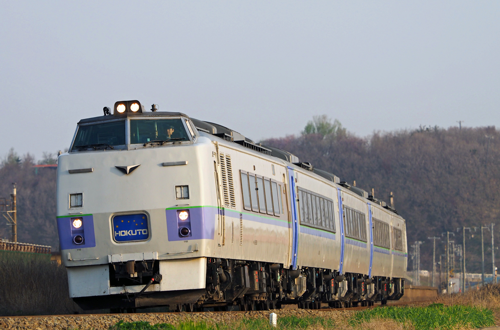 2015.05.02 春の臨時列車：黄金色に染まる、１８３系