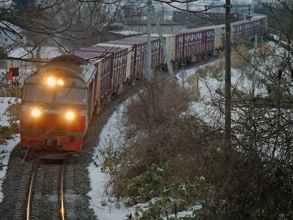 2015.01.31 しなるLINE