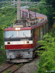 2015.08.1 しなる０番台
