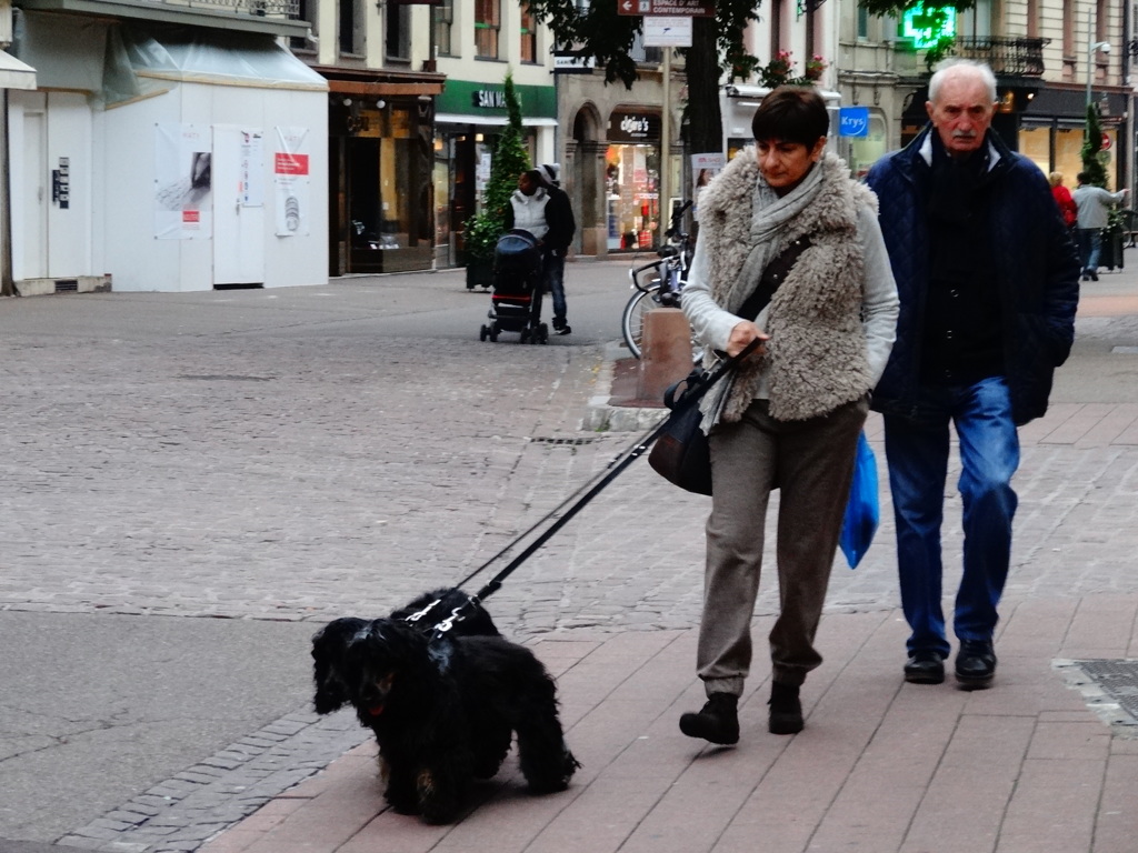 2013　J'ai froid ! Colmar(3)