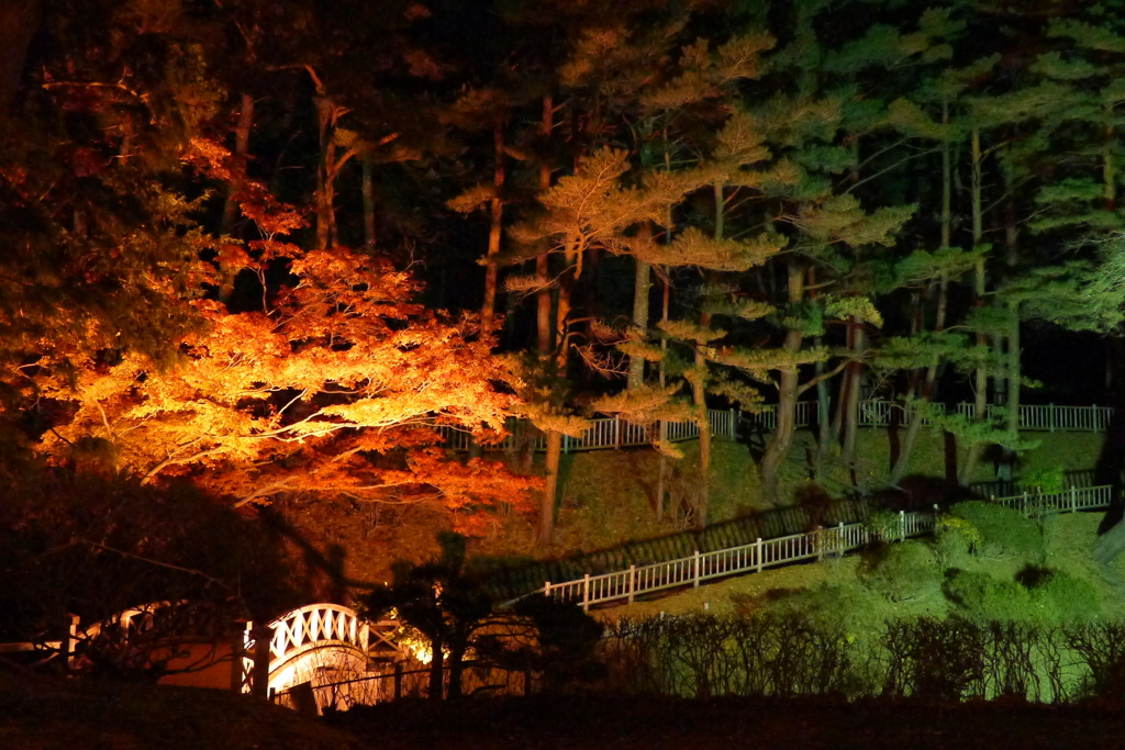 2013.11.9 道南の紅葉(30)