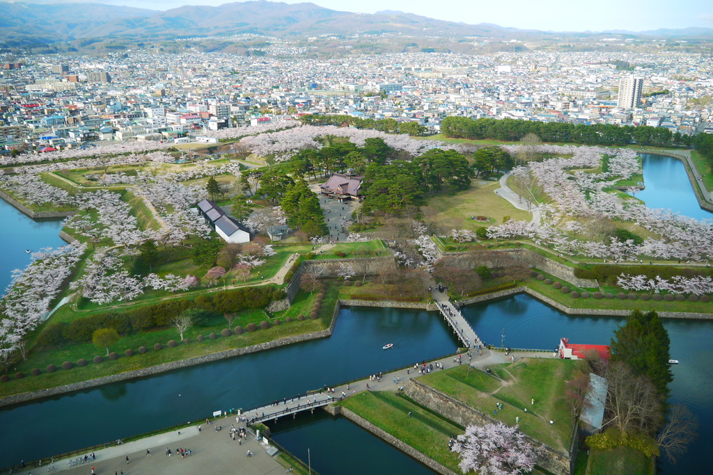 2014.05.04 祝・築城１５０年桜(1)