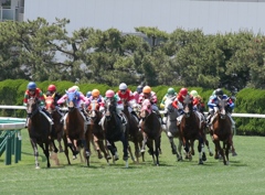 2014.06.28 JRA(13)