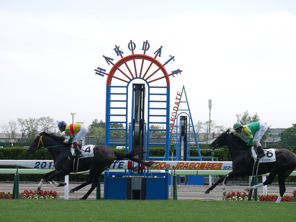 2014.06.28 JRA(14)