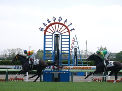 2014.06.28 JRA(14)