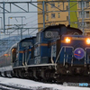 2016.02.29 今朝の8009ﾚ：２月はコンプリート(*^^)v　(2)
