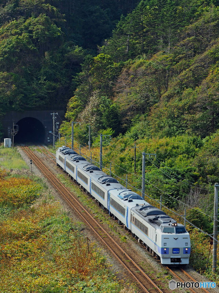2015.09.21 緑の中を走る・臨時列車