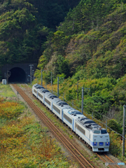 2015.09.21 緑の中を走る・臨時列車