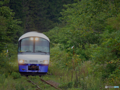 2015.09.12 緑豊かな大地を、山鳩と一緒に走る観光列車