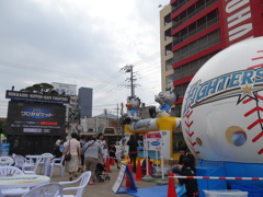 北海道日本ハムファイターズ応援キャラバン