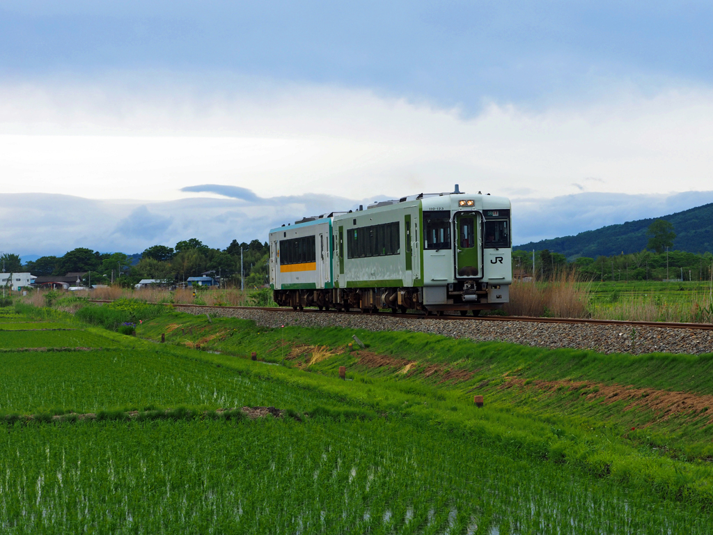 2017.06.03 今こそ仙台へ(6)：石巻平野を往く