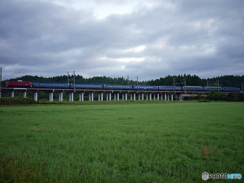 2015.07.03 今朝の202ﾚ：明けきれぬ頃