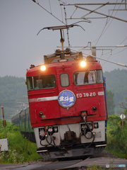 2015.07.14 今朝の8007ﾚ：カシげるナック(^^♪