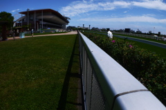 2014.06.28 JRA(2)