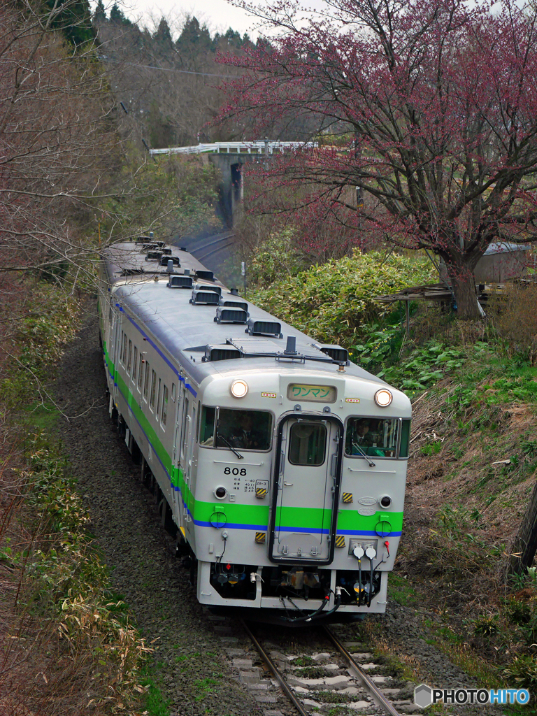 2016.04.23 桜を求めて（１）♪