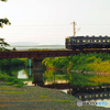 2016.06.10 桜散った跡。。。