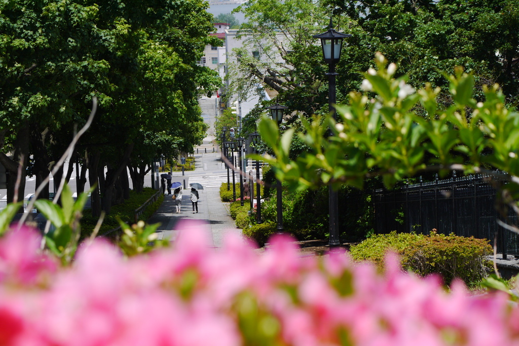 2014.06.22 元町散歩(9)