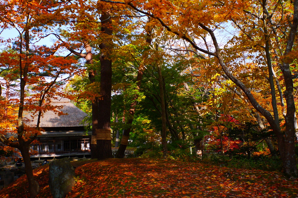 2013.11.4 道南の紅葉(24)