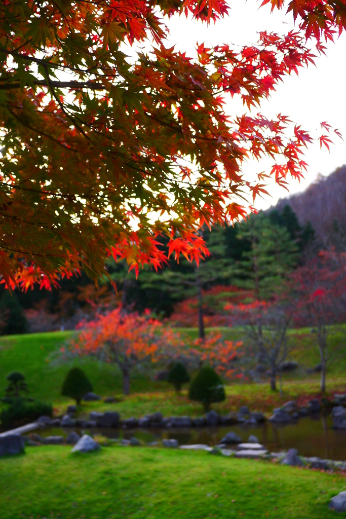 2013.11.9 道南の紅葉(23)