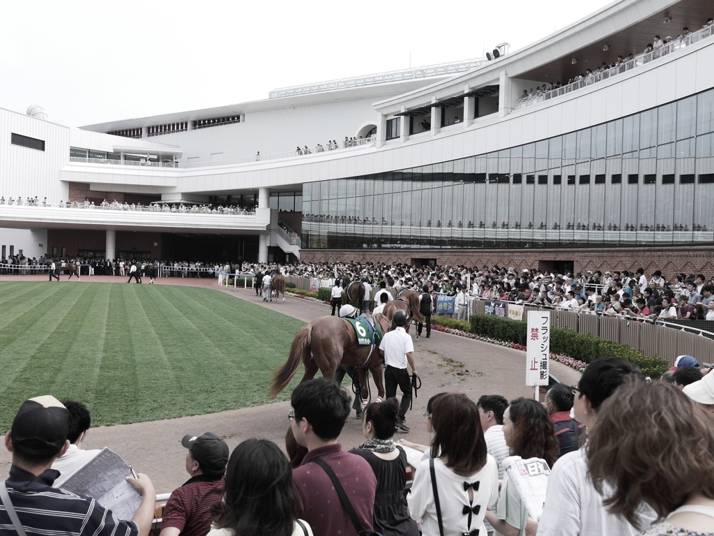 2014.07.19 JRA(11)