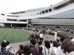2014.07.19 JRA(11)