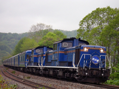 2015.05.15 今朝の8007ﾚ：新緑を背負って！