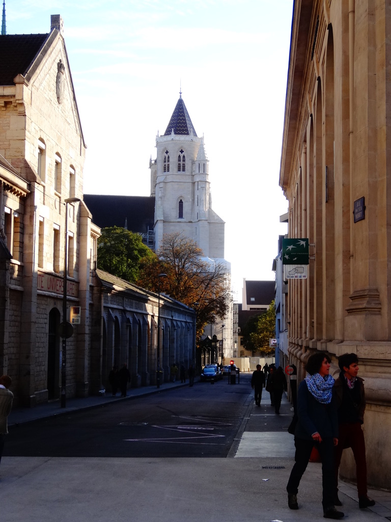 2013 faiblement♪Dijon(29)